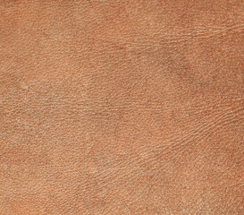 Fototapeta premium Natural leather structure material abstract texture background