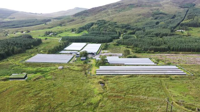 Aerial view of typical fur farm with minks