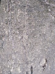 Fototapeta premium stone wall texture