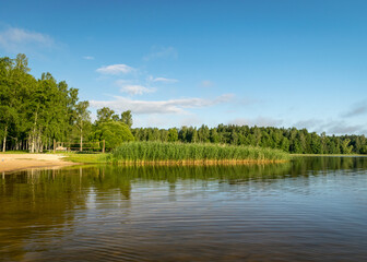 mirror image on the lake, green forest by the lake in reflection in the blue water, beauty in nature