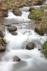 River views at forest