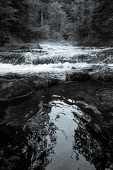 Fototapeta premium Im Bach