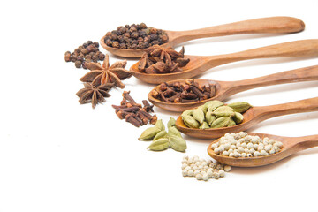 indian spices isolated on white background.