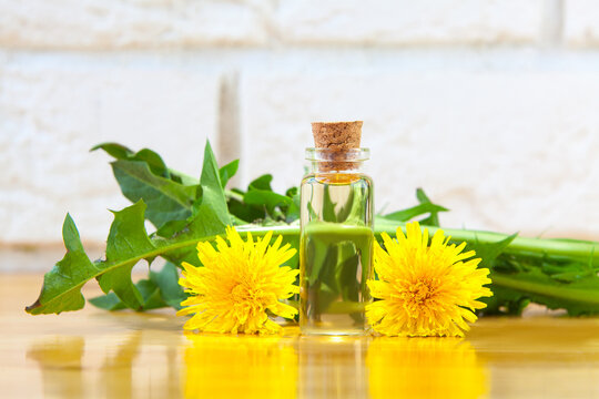 Fototapeta dandelion essential oil in  beautiful bottle on table