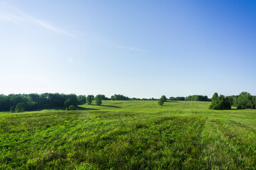 Green summer field. Summer landscape.