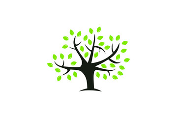 Obraz premium Natural Tree Logo 