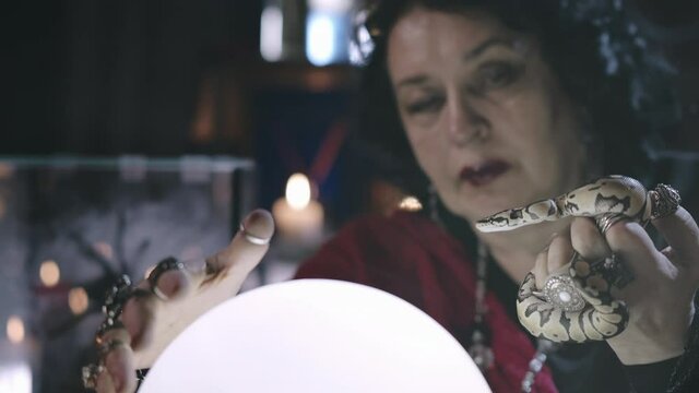 Woman fortune teller using snake and crystal ball divining future