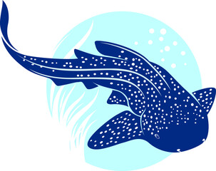 Leopard (Zebra) Shark