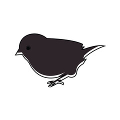 Vector Illustration of a Bird