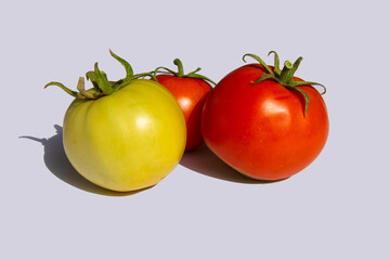 Tomates