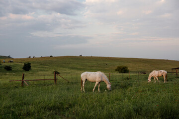 Fototapeta premium A farm where people hike in the Free State in South Africa