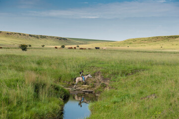 A farm where people hike in the Free State in South Africa
