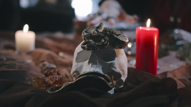 Focus on serpent and scull lying on table and gypsy working sorcerer on background