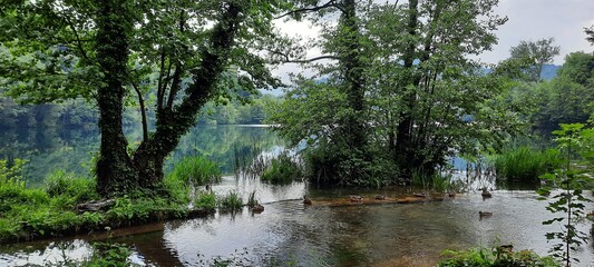 reflection in the water