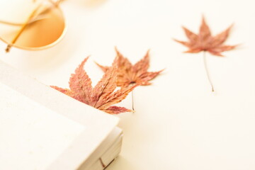 leaves and paper