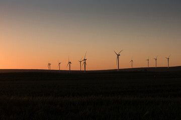 Fototapeta na wymiar A wind farm during sunset. Turbines generating electricity. Green energy