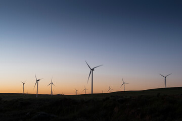 A wind farm during sunset. Turbines generating electricity. Green energy