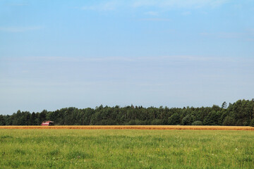 Fototapety na wymiar - Fototapeta24.pl