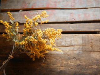 Bouquet of mimosa on rustic wooden table © may5