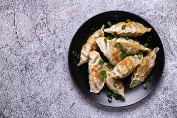 Fried dumplings Gyoza on a plate on a gray concrete background