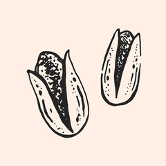 Pistachio. Nut. Fast food, snack. Oktoberfest monochrome illustration. Bar, pub, restaurant, cafe. Vector. Ink style. Isolated on background.