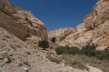 Fototapeta premium View of Ein Avdat National Park entrance into the deep canyon, carved by Zin streem, located at the foot of Midreshet Ben Gurion in Kibbutz Sde Boker, Negev desert, Israel.
