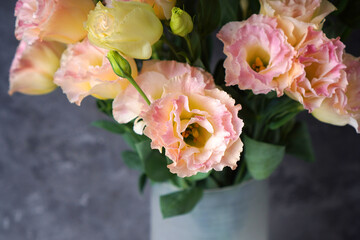 Beautiful Eustoma flower or Lisianthus flower with pink soft blooms close-up