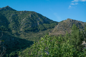 Fototapeta na wymiar krajobraz góry zieleń lato natura drzewa liście 