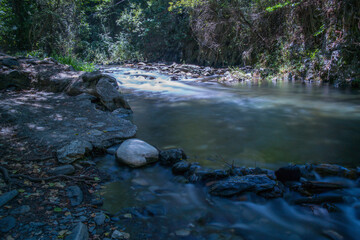 krajobraz rzeka kamienie  las drzewa liście woda lato natura  zieleń  © Katarzyna