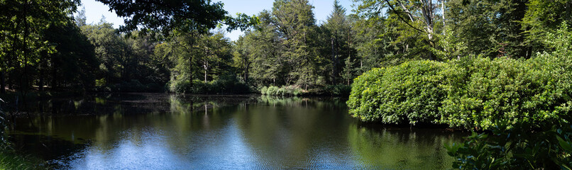 Small lake in a green deciduous forest full of sunlight and blue sky, reflections on the water, natural mirror. Tranquil landscape. Wide screen