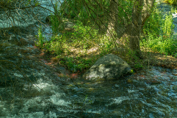 rzeka kamienie drzewa liście woda lato natura zieleń © Katarzyna