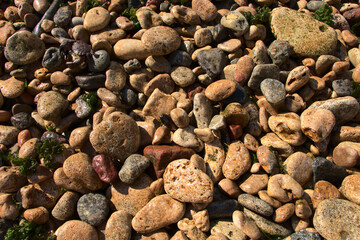 Multicolored sea stones, background. Wet pebbles by the sea. Sea background of stones.