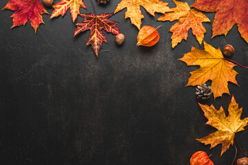 Autumn composition made of fall leaves, flowers, nuts, pine cones on black background. Flat lay,...