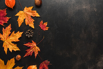 Autumn composition made of autumn leaves, flowers, nuts, pine cones on black background. Flat lay,...