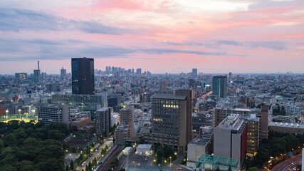 Fototapeta na wymiar 夕暮れの文京区から見た新宿区方面のビル群
