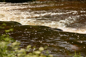 cracks in the tectonic plate, bloody river water