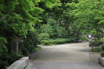 Various landscapes of Showakinen Park,japan,tokyo
