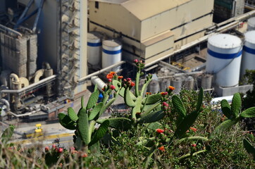 white tanks in a factory