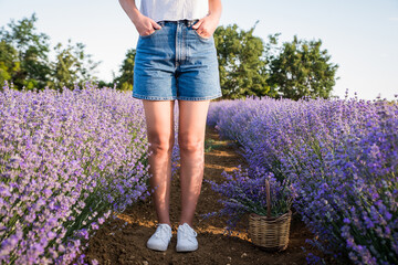 Young woman in a lavender field at the sunshine