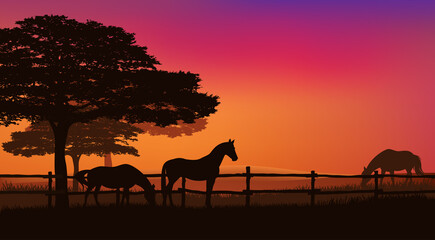 Fototapeta na wymiar herd of grazing horses behind wooden fence - sunset field and trees vector silhouette landscape