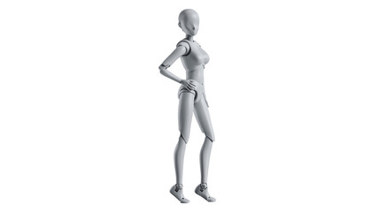 Mannequin female model woman isolated. 3D rendering