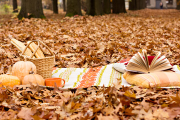 Autumn picnic. Plaid, pumpkins, basket, coffee, baguettes, book, autumn still life, cozy picnic, cozy autumn.