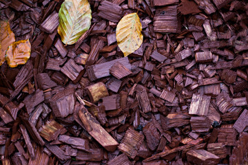 tree bark in a flower bed