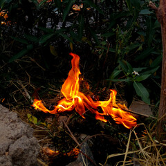 Short fire - Burning the waste during sunset getting ready for the cold night.