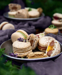 Macaroons on an old baking tray and a lavender flowers as a decoration among green bushes