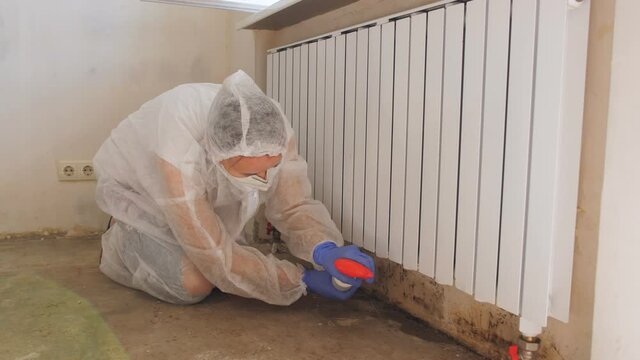 Removing Mold From Internal Walls. Elimination of mold at home under the heating battery.