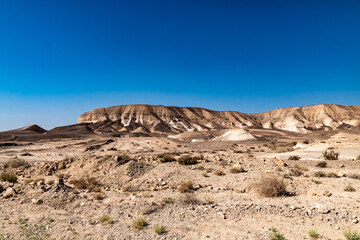Negev in dead sea
