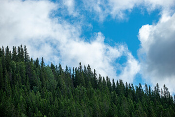 clouds over forest, åre, jämtland, sverige