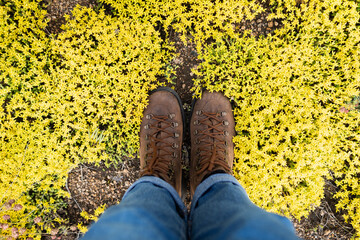 Female leather vintage boots standing on yellow flowers background