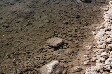 rock in the salt